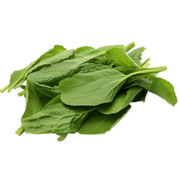 An Isolated Pile Of Curry Leaves On Transparent Background Isolated