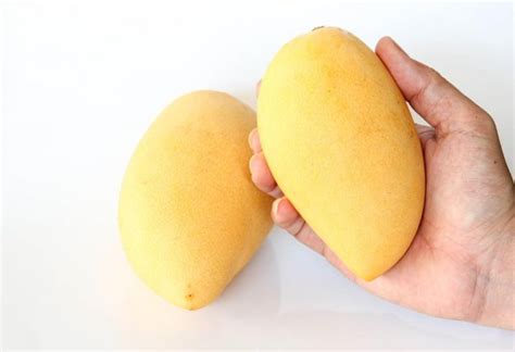 How To Ripen Mangoes Tips And Tricks