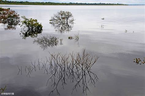 世界上最大的热带雨林，面积超过大半个中国，号称“地球之肺” 搜狐大视野 搜狐新闻