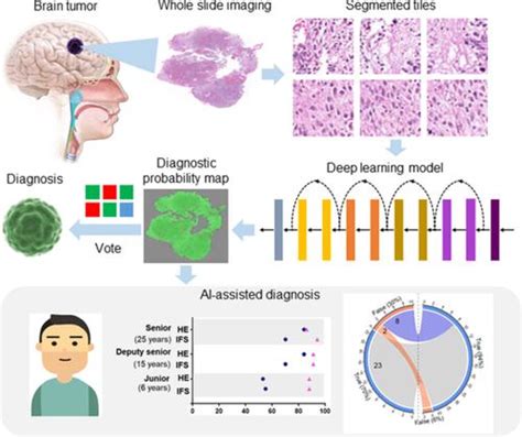 Contribution Of Whole Slide Imaging Based Deep Learning In The