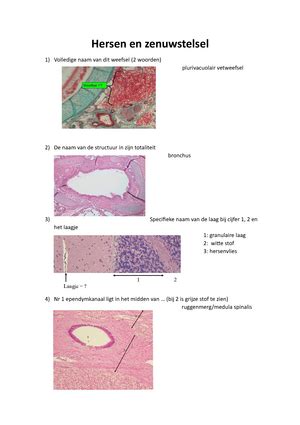 Labo3 Cel En Weefselleer Labo3 Microscopie Van Beenweefsels