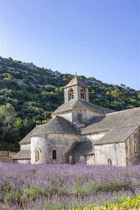 Seeing the Lavender in Provence - thekittchen