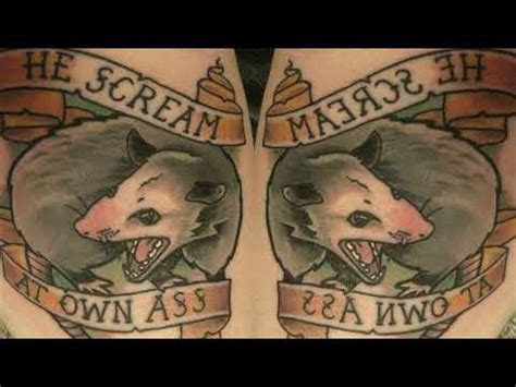 Opossum Scream At Own Ass He Scream At Own Ass Know Your Meme
