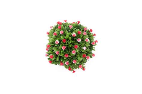 Plant Vase Top View Stock Photos Pictures And Royalty Free Images Istock