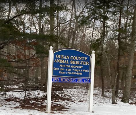 Many Of The 180 Animals Rescued From A Nj ‘puppy Mill Will Soon Be