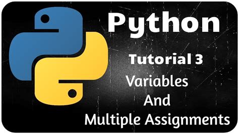 Python Programming Tutorial 3 Variables And Multiple Assignments