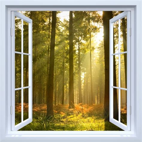 Poster White Open Window Forest Pixers Uk