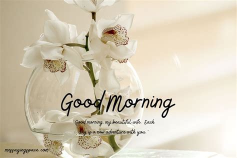 160+ Flirty & Sweet Good Morning Wishes for Wife