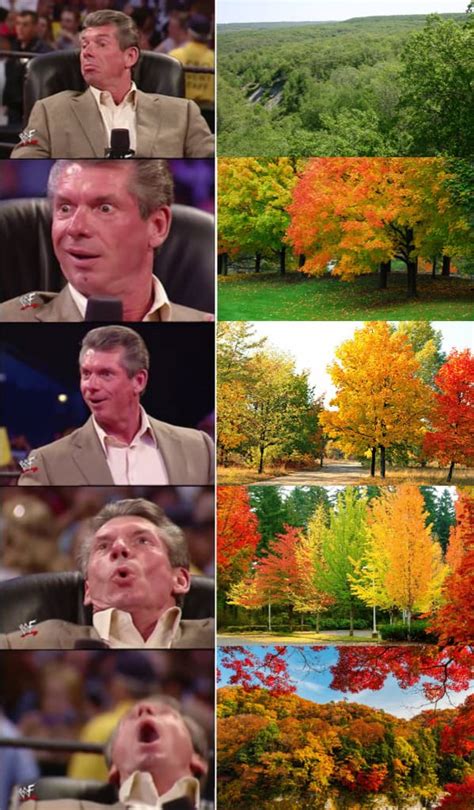 27 Funny Fall Memes For Anyone Who Lives For Dying Leaves