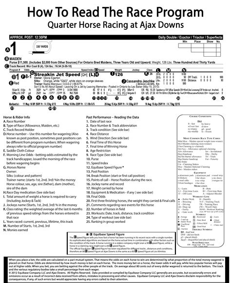 How To Read The Caymanas Track Limited Race Day Program Like A Pro 6