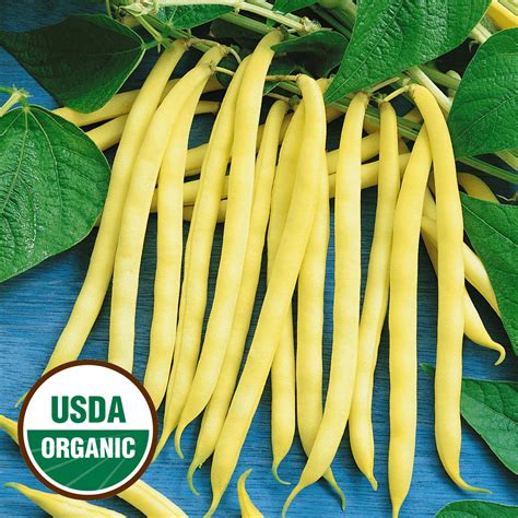 Organic Yellow Bean Seeds Organic Golden Wax