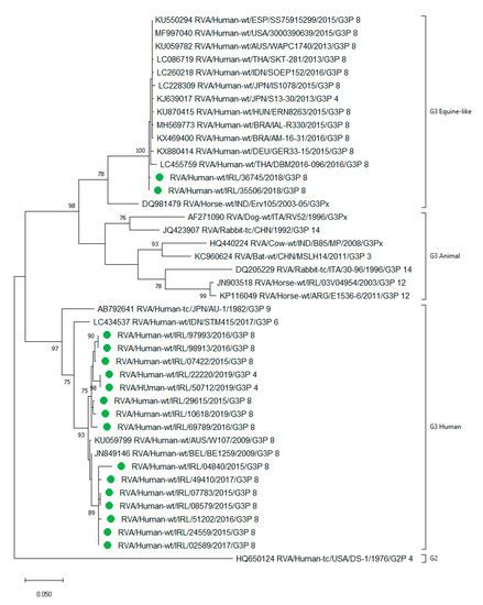 Pathogens Free Full Text Group A Rotavirus Detection And Genotype