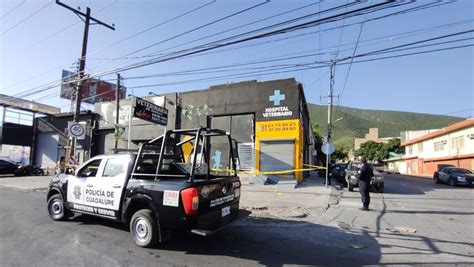 Balean Gimnasio Y Veterinaria En Avenida Eloy Cavazos En Guadalupe NL