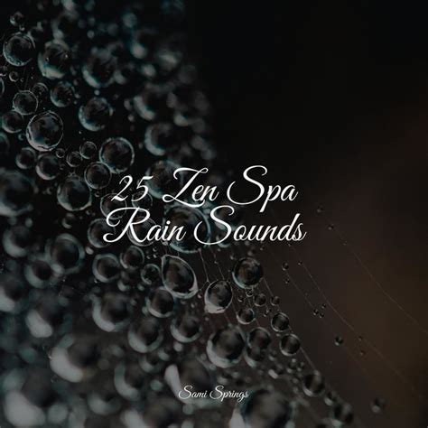 25 Loopable Rain Sounds For Serenity Album By Academia De Meditação