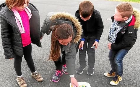 École Fructueuse Chasse à Loeuf Le Télégramme