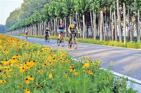 几名骑行爱好者在汾河廊带旅游路平遥段骑行