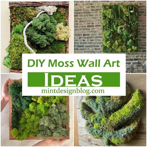 23 DIY Moss Wall Art How To Make A Moss Wall Mint Design Blog