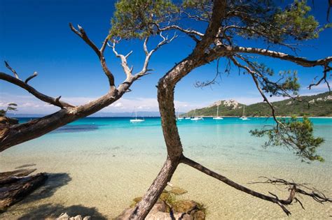 Porquerolles Größte Insel der Inselgruppe von Hyères