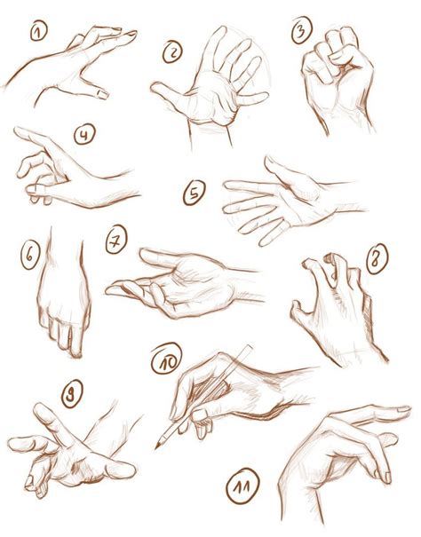 Human Anatomy Fundamentals How To Draw Hands Artofit