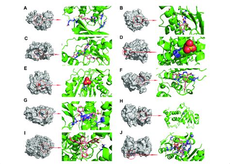 Molecular Docking Pattern Of Original Ligand And Core Target Protein