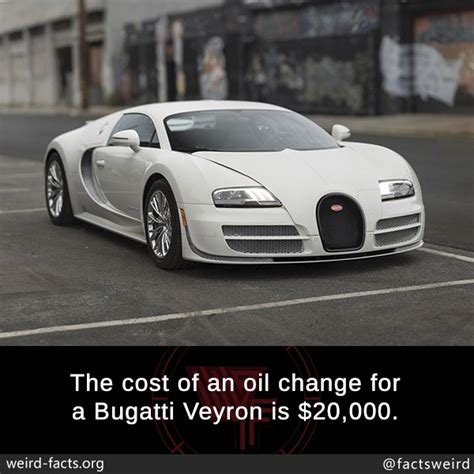 Weird Facts The Cost Of An Oil Change For A Bugatti Veyron Is