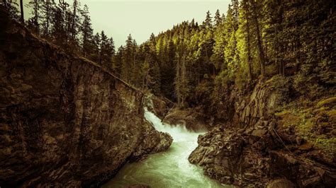 Wallpaper Landscape Forest Waterfall Rock Nature Reflection