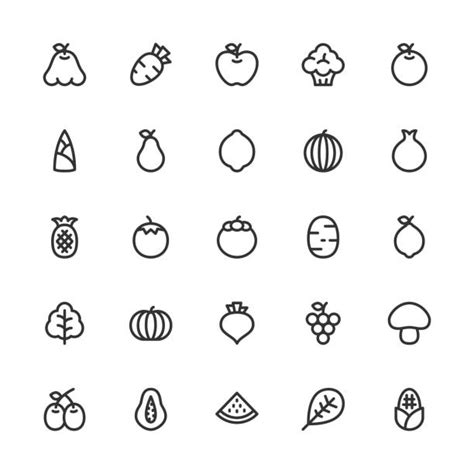 740+ Jambu Air Ilustrasi, Grafik Vektor, & Clip Art Bebas Royalti ...
