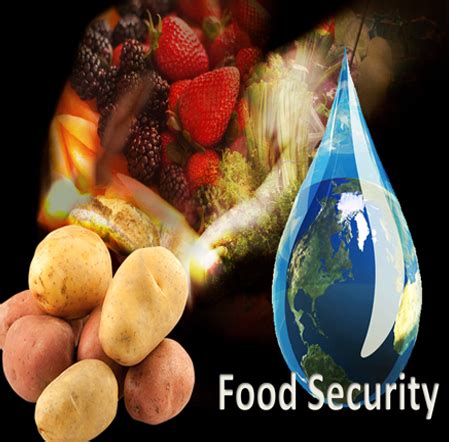 Food Security A Growing Global Concern Enterra Solutions