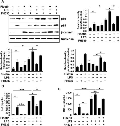 Fisetin Inhibits Lps Or Fh Mediated Il And Tnf Release By