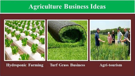 25 Profitable Agriculture Business Ideas With Low Investment