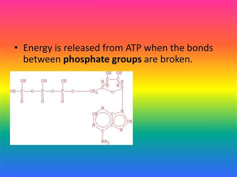 Ppt Chapter 3 Biochemistry Powerpoint Presentation Free Download