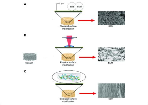 Schematic Diagram Of Chemical Physical And Biological Surface Download Scientific Diagram