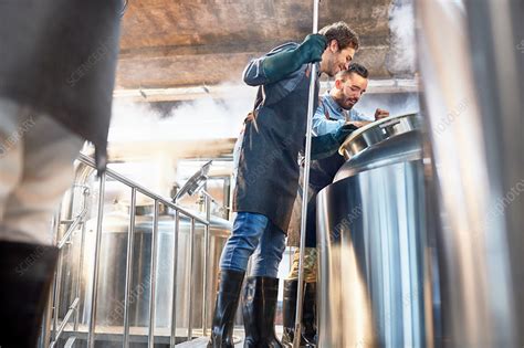 Male Brewers Checking Vat In Brewery Stock Image F018 6948