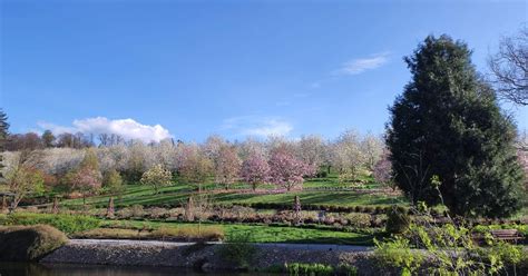 Pomysł na weekend Arboretum Wojsławice to jeden z najpiękniejszych og