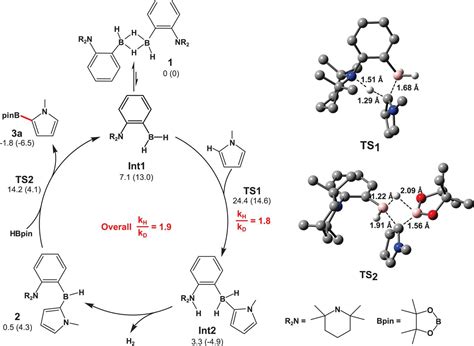 Metal Free Catalytic C H Bond Activation And Borylation Of Heteroarenes