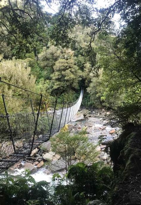 Copland Track To Welcome Flat Hut 2 Day Hike By Freewalks Nz