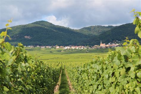 Visitare Colmar E La Strada Dei Vini D Alsazia