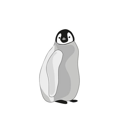 Young fledgling Emperor penguin in flat style. Vector illustration ...