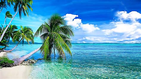 Live Wallpapers For Pc Wallpapersafari