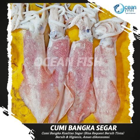 Jual Cumi Bangka Segar Gr Cumi Segar Pilihan Bangka Squid Fresh