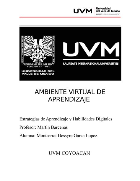 Lista De Cotejo Uvm AMBIENTE VIRTUAL DE APRENDIZAJE Estrategias De