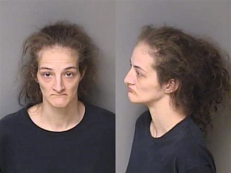 Clayton Ashley Danielle Gaston County Mugshots Zone