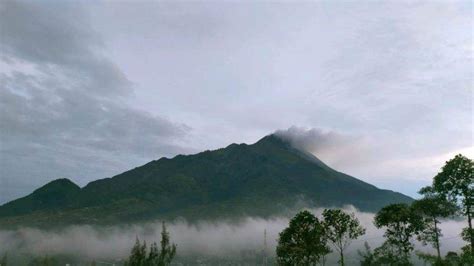 Update Gunung Merapi Februari Tak Ada Guguran Lava Pijar