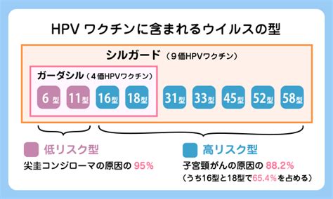 Hpvワクチンについて｜小阪レディースクリニック｜婦人科・ピル外来｜大阪府東大阪市