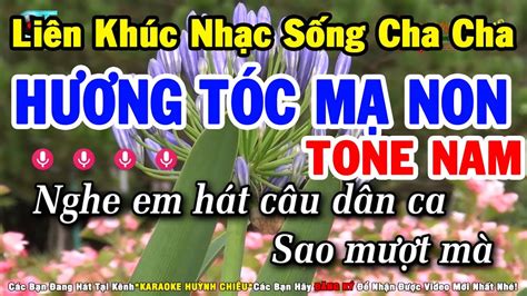 Karaoke Liên Khúc Nhạc Sống Cha Cha Tone Nam Hương Tóc Mạ Non Hãy