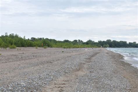 Hanlans Point Nude Beach View On Toronto Islands Stock Photo Image Of Scenic Sailing