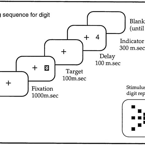 Schematic Representation Of The Stimulus Positions And Timing Sequence