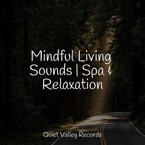 Mindful Living Sounds Spa Relaxation Album By Chillout Lounge