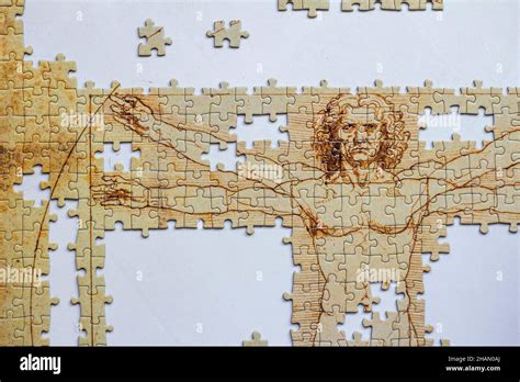 Unfinished Jigsaw Puzzle Set Of Leonardo Da Vinci Vitruvian Man Anatomy