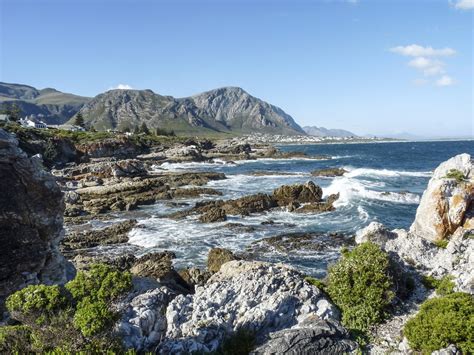 Fernkloof Nature Reserve